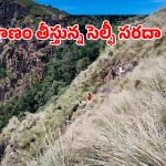 ట్రెక్కింగ్‌ చేస్తూ.. 500 అడుగుల లోయలో పడ్డ యువకుడు.. వీడియో వైరల్!