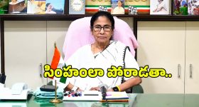 గుడ్ న్యూస్.. సిలిండర్ అయిపోయిందా? టెన్షన్ వద్దు, స్విగ్గీ ఇన్‌స్టామార్ట్‌లో ఆర్డర్ చేయండి!