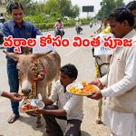 వానల కోసం సరికొత్త పూజ.. వర్షాలు కురవాలని గాడిదలకు స్వీట్లు తినిపించిన స్థానికులు!