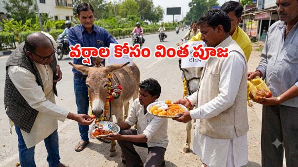 వానల కోసం సరికొత్త పూజ.. వర్షాలు కురవాలని గాడిదలకు స్వీట్లు తినిపించిన స్థానికులు!