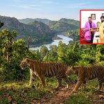 ఏపీ అడవుల్లో ‘రాయల్’ గర్జన.. పవన్ కల్యాణ్ చొరవతో మహారాష్ట్ర నుంచి రెండు ఆడ పులుల రాక!