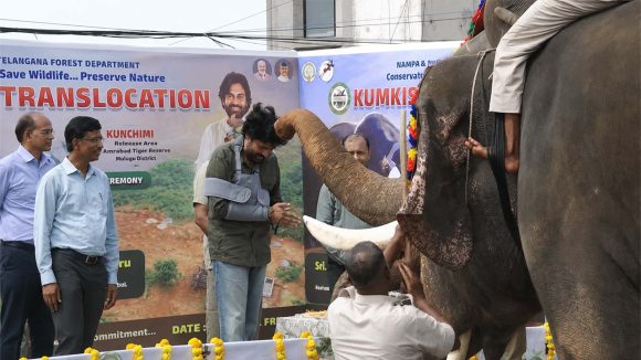 అమరావతిలో కుంకీ ఏనుగులకు పవన్ కల్యాణ్ ఘన స్వాగతం.. మన్యం బాధితులకు బిగ్ రిలీఫ్