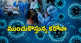 మారుతి సుజుకికి 5 స్టార్ రేటింగ్స్? ఇదిగో ఈ కొత్త కారు చాలా సేఫ్ అట!