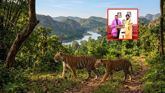 ఏపీ అడవుల్లో ‘రాయల్’ గర్జన.. పవన్ కల్యాణ్ చొరవతో మహారాష్ట్ర నుంచి రెండు ఆడ పులుల రాక!