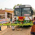 48 ఏళ్లుగా బస్సే లేని గ్రామం.. ఎట్టకేలకు ఊర్లోకి ఎర్రబస్సు.. ఎక్కడో చూసేయండి!