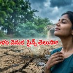 తొలకరి జల్లు పడగానే వచ్చే మట్టి వాసన ఎందుకు అంత అద్భుతంగా ఉంటుంది? అసలు ఆ పరిమళం ఎలా ఏర్పడుతుంది?