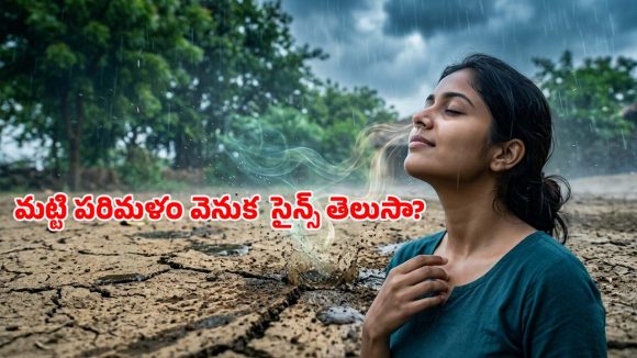 తొలకరి జల్లు పడగానే వచ్చే మట్టి వాసన ఎందుకు అంత అద్భుతంగా ఉంటుంది? అసలు ఆ పరిమళం ఎలా ఏర్పడుతుంది?