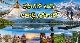 America: గదిలో భార్యను చంపి.. బాత్రూంలో డ్రామా ఆడిన టెక్కీ అవినాశ్‌ అరెస్ట్
