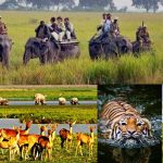 వర్షాకాలంలో ప్రకృతి అందాలను ఎంజాయ్ చేయడానికి 5 బెస్ట్ నేషనల్ పార్క్స్.. ఓ ట్రిప్ వేసేయండి