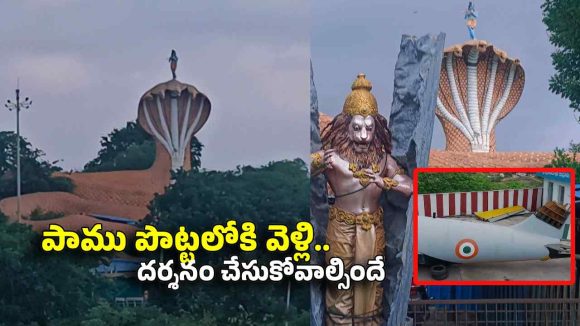సిరిసిల్ల జిల్లాలో మ‌రో పుణ్య‌క్షేత్రం..500 అడుగుల స‌ర్పం..ఏకంగా 5 త‌ల‌లు