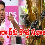 Oil Palm: ఆయిల్ ఫామ్ పంటలపై కేటీఆర్ షాకింగ్ కామెంట్స్.. ఎమన్నారంటే..?