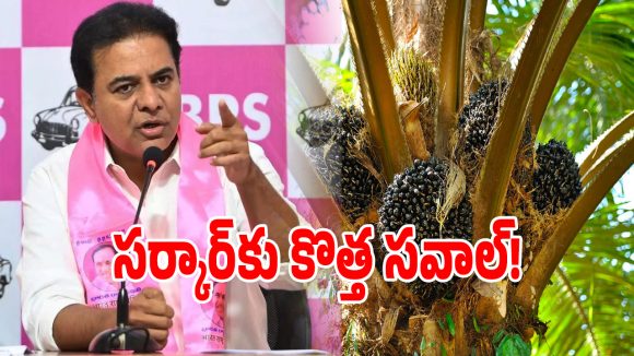 Oil Palm: ఆయిల్ ఫామ్ పంటలపై కేటీఆర్ షాకింగ్ కామెంట్స్.. ఎమన్నారంటే..?