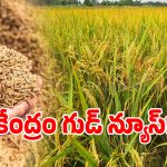 Paddy Procurement: తెలంగాణ ప్రభుత్వానికి గుడ్ న్యూస్.. కేంద్రం గ్రీన్ సిగ్నల్..?