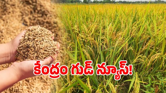 Paddy Procurement: తెలంగాణ ప్రభుత్వానికి గుడ్ న్యూస్.. కేంద్రం గ్రీన్ సిగ్నల్..?