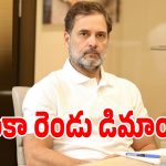 ధర్మేంద్ర ప్రధాన్ రాజీనామా పై రాహుల్ గాంధీ హాట్ కామెంట్స్.. వెలుగులోకి మరో 2 కొత్త డిమాండ్లు!