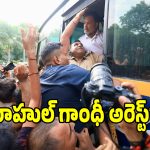 NEET Protest: ప్రధాని మోదీ ఇంటి వద్ద హై టెన్షన్.. రాహుల్ గాంధీ అరెస్ట్!