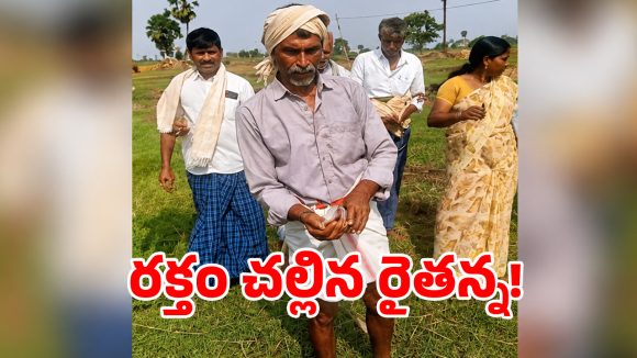 Blood Protest: సీఎం రేవంత్ వ్యాఖ్యలతో.. రక్తాన్ని తీసి పంట పొలాల్లో చల్లిన రైతు.. ఎక్కడంటే..?
