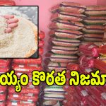Rice Prices: ఎల్ నినో ఎఫెక్ట్.. పెరగనున్న బియ్యం ధరలు.. అంతా వారిచేతుల్లోనే..?