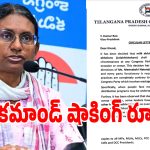 TPCC Guidelines: కాంగ్రెస్ నేతలకు మీనాక్షి నటరాజన్ బిగ్ షాక్.. ఇకపై ఆ పనులు చేస్తే పార్టీ నుండి అవుట్?