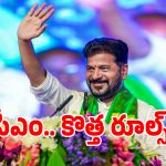 CM Protocol: సీఎం రేవంత్ సభల్లో కొత్త రూల్స్.. ఇకపై ఆ హడావుడి చేస్తే వేదికపైకి నో ఎంట్రీ..?