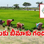 Rythu Bima: తెలంగాణ రైతులకు షాకింగ్ న్యూస్.. ఆగిపోనున్న రైతు బీమా పథకం!