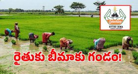 టైఫాయిడ్ బారిన పడ్డ CJP అధినేత అభిజీత్ దిప్కే.. హాస్పిటల్ బెడ్ నుంచే ఉద్యమానికి పిలుపు.. కేంద్రానికి డెడ్‌లైన్!