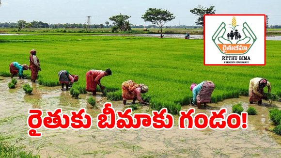 Rythu Bima: తెలంగాణ రైతులకు షాకింగ్ న్యూస్.. ఆగిపోనున్న రైతు బీమా పథకం!