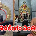 చిత్తూరు జిల్లాలో విచిత్రం.. శివలింగంపై నూనె పోస్తే పాలలా మారుతున్న వైనం.. వీడియో వైరల్!