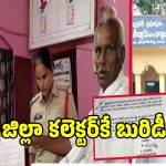 శ్రీ సత్య సాయి జిల్లాలో కలెక్టర్‌నే బురిడీ కొట్టించిన కేటుగాడు.. ఏం చేశాడంటే!