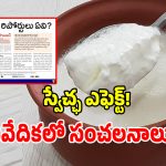 VLR Dairy: స్వేచ్ఛ ఎఫెక్ట్.. కల్తీ పెరుగు దందాపై అధికారులు ఉక్కుపాదం.. కోర్టు సంచలన తీర్పు!