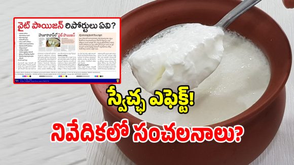 VLR Dairy: స్వేచ్ఛ ఎఫెక్ట్.. కల్తీ పెరుగు దందాపై అధికారులు ఉక్కుపాదం.. కోర్టు సంచలన తీర్పు!