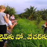 ట్రెండింగ్‌లో ‘రివర్స్ వెకేషన్’.. లగ్జరీ లైఫ్ వదిలేసి అడవుల బాట