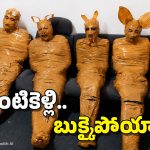 దొంగలను ఏంటి భయ్యా.. ఇలా టేపులతో చుట్టేశారు, క్రేజీ ప్లాన్!