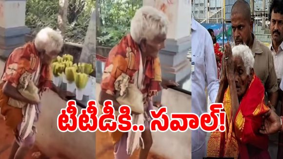 Senior Citizens: 116 ఏళ్ల వృద్ధురాలి తిరుమల యాత్ర వైరల్ వీడియో.. సీఎం చంద్రబాబు ఫిదా!