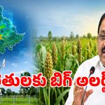 El Niño: తెలంగాణలో వరి సాగు సగానికి పడిపోనుందా? ఎల్ నినో పై ప్రభుత్వం షాకింగ్ అంచనా..!