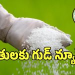 Fertilizer App: తెలంగాణ రైతులకు గుడ్ న్యూస్.. యూరియా బుకింగ్‌లో సంచలనం!