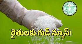 Googleలో ఈ సీక్రెట్ ఫీచర్ తెలిస్తే.. ఇంట్లో కూర్చునే విమానం నడుపుతూ ప్రపంచాన్ని చుట్టేయొచ్చు!