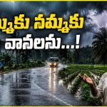 వాన‌ల మురిపెం.. వ‌రేసుకుంటే బ‌త‌కం! పెడచెవిన పెడుతున్న రైతు..