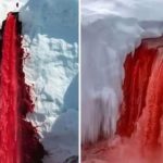 Antarctica Waterfall: అంటార్కిటికాలో రెడ్ జలపాతం.. ఈ మిస్టరీ వెనుక కథేంటి? శాస్త్రవేత్తలు ఏం చెబుతున్నారు?