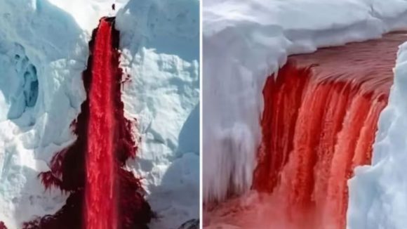 Antarctica Waterfall: అంటార్కిటికాలో రెడ్ జలపాతం.. ఈ మిస్టరీ వెనుక కథేంటి? శాస్త్రవేత్తలు ఏం చెబుతున్నారు?