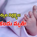 Zaheerabad: జహీరాబాద్ ప్రభుత్వ ఆసుపత్రిలో ఘోరం.. డాక్టర్లు లేక నర్సుల డెలివరీకి పసికందు మృతి!