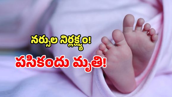 Zaheerabad: జహీరాబాద్ ప్రభుత్వ ఆసుపత్రిలో ఘోరం.. డాక్టర్లు లేక నర్సుల డెలివరీకి పసికందు మృతి!
