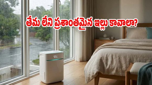 ఇంట్లో తేమతో విసిగిపోయారా? ఈ డిహ్యూమిడిఫైయర్లపై ఓ లుక్కేయండి