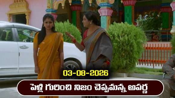 Brahmamudi Serial Today Episode August 3rd ‘బ్రహ్మముడి’ సీరియల్‌: పెళ్లి గురించి నిజం చెప్పమన్న అపర్ణ   