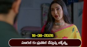 Illu Illalu Pillalu Today Episodes: కన్నీళ్లు పెట్టుకున్న ప్రేమ.. అయ్యో అడ్డంగా ఇరుక్కున్న ధీరజ్.. భద్ర ప్లాన్ సక్సెస్..