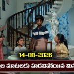 Nindu Noorella Saavasam Serial Today Episode August 14th ‘నిండు నూరేళ్ల సావాసం’ సీరియల్‌: మిస్సమ్మను భయపెట్టిన పిల్లల బిహేవియర్