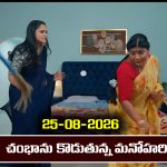 Nindu Noorella Saavasam Serial Today Episode August 25th ‘నిండు నూరేళ్ల సావాసం’ సీరియల్‌: యాదమ్మను చితక్కొట్టిన మనోహరి 