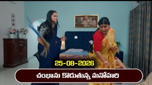 Nindu Noorella Saavasam Serial Today Episode August 25th ‘నిండు నూరేళ్ల సావాసం’ సీరియల్‌: యాదమ్మను చితక్కొట్టిన మనోహరి 