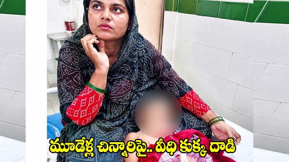 మూడేళ్ల చిన్నారిపై వీధి కుక్క దాడి.. గొంతుపై తీవ్ర గాయాలు