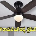 తక్కువ బడ్జెట్‌లో ఫ్యాన్ ప్లస్ లైట్.. అమెజాన్ సేల్‌లో అద్భుతమైన మోడల్స్